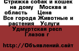 Стрижка собак и кошек на дому.  Москва и область.  › Цена ­ 1 200 - Все города Животные и растения » Услуги   . Удмуртская респ.,Глазов г.